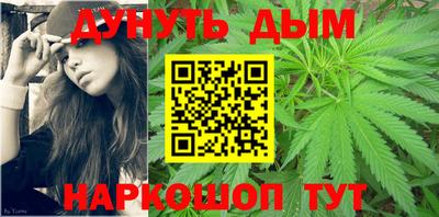 spice Камышлов